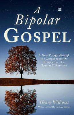 Book cover for A Bipolar Gospel