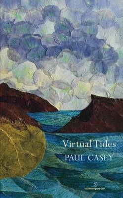 Book cover for Virtual Tuides