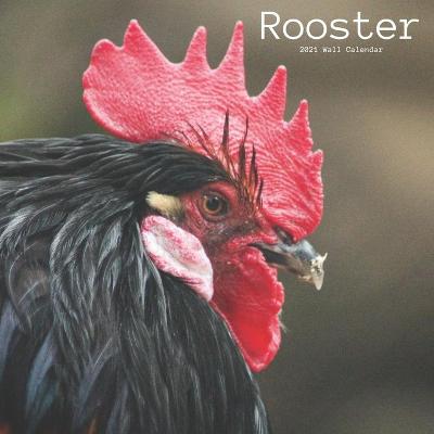 Book cover for Rooster 2021 Wall Calendar