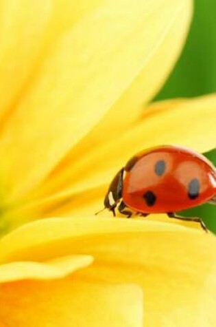 Cover of Jumbo Oversized Ladybug on a Brilliant Yellow Flower