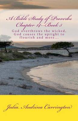 Cover of A Bible Study of Proverbs Chapter 14--Book 5