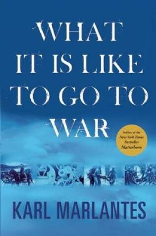 Cover of What It Is Like to Go to War