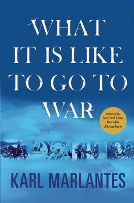 Book cover for What It Is Like to Go to War
