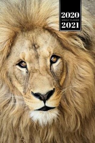 Cover of Lion Week Planner Weekly Organizer Calendar 2020 / 2021 - Clear Eyes
