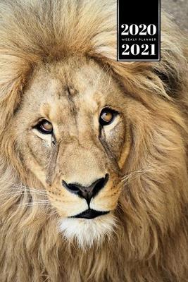 Book cover for Lion Week Planner Weekly Organizer Calendar 2020 / 2021 - Clear Eyes
