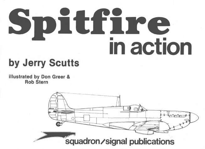 Cover of Spitfire in Action