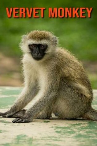 Cover of Vervet Monkey