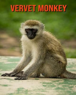 Book cover for Vervet Monkey