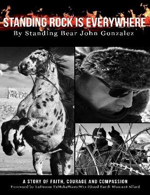 Book cover for Standing Rock Is Everywhere