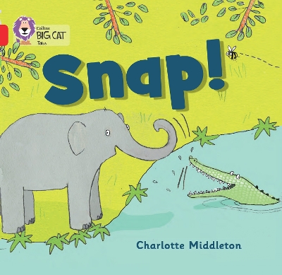 Book cover for Snap!