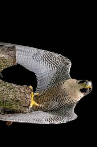 Cover of Stunning Peregrine Falcon Journal