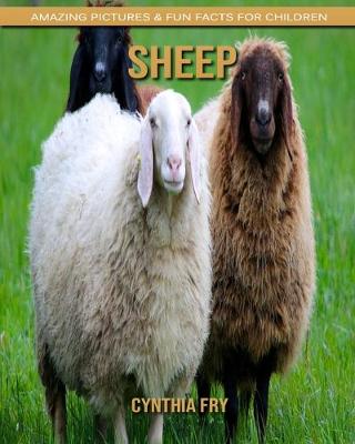 Book cover for Sheep