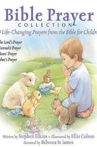 Cover of Bible Prayer Collection