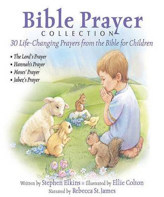 Book cover for Bible Prayer Collection
