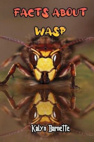 Cover of Facts about Wasp