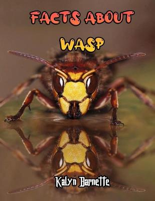 Book cover for Facts about Wasp