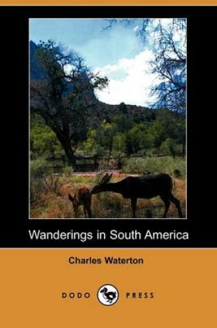 Cover of Wanderings in South America (Dodo Press)