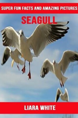 Cover of Seagull