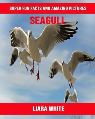 Book cover for Seagull