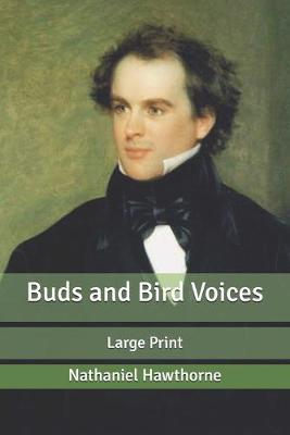 Book cover for Buds and Bird Voices