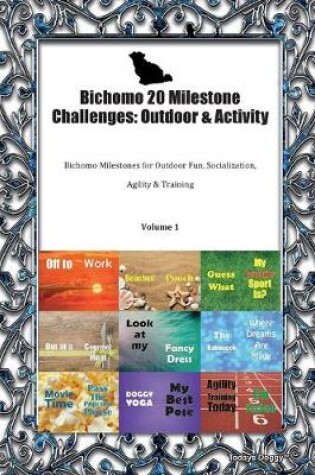 Cover of Bichomo 20 Milestone Challenges