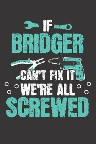 Cover of If BRIDGER Can't Fix It