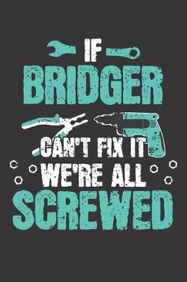 Book cover for If BRIDGER Can't Fix It