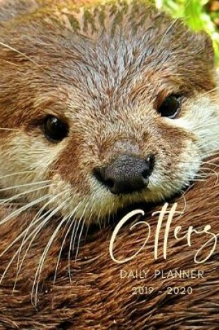 Cover of Planner July 2019- June 2020 Sea Otters Monthly Weekly Daily Calendar