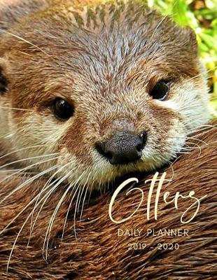 Book cover for Planner July 2019- June 2020 Sea Otters Monthly Weekly Daily Calendar