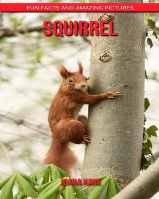 Book cover for Squirrel