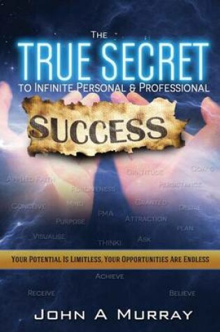 Cover of The 'true Secret' to Infinite Personal and Professional Success