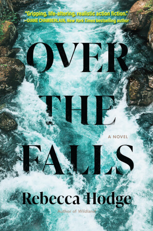 Book cover for Over the Falls