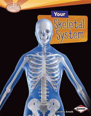 Book cover for Your Skeletal System