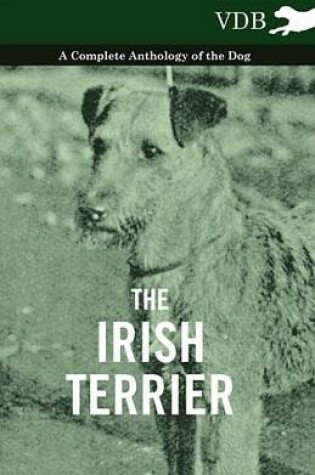 Cover of The Irish Terrier - A Complete Anthology of the Dog