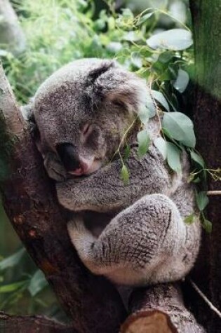 Cover of Sleepy Koala