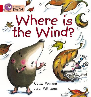 Book cover for Where is the Wind?