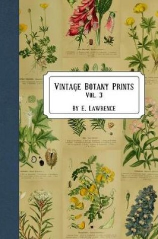 Cover of Vintage Botany Prints