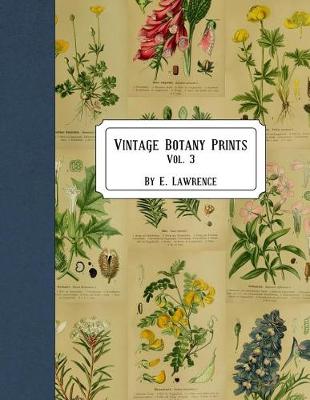 Book cover for Vintage Botany Prints