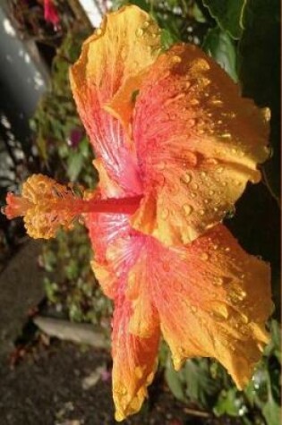 Cover of Orange Hibiscus Flower Notebook