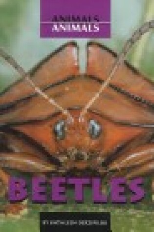 Cover of Beetles