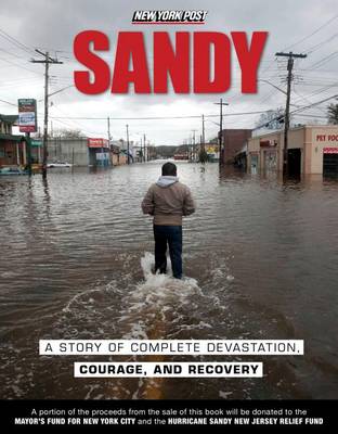 Cover of Sandy