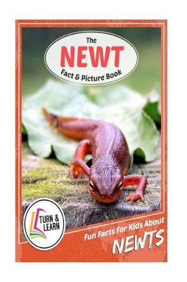 Book cover for The Newt Fact and Picture Book