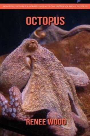 Cover of Octopus