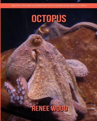 Book cover for Octopus