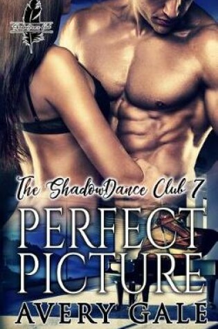 Cover of Perfect Picture