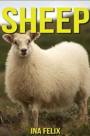 Cover of Sheep