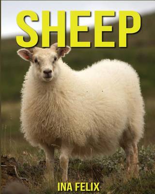 Book cover for Sheep