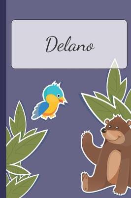 Book cover for Delano