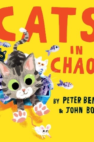Cover of Cats in Chaos