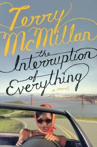 Cover of The Interruption of Everything PB